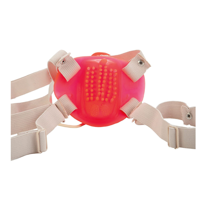 Bettys jelly bumble bee