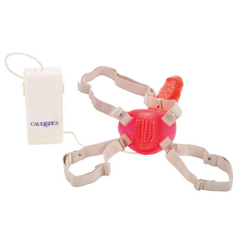 Bettys jelly bumble bee